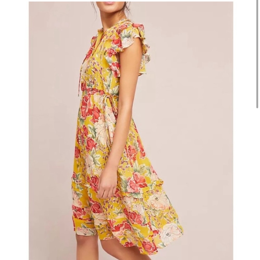 EUC Anthropologie 100%s Silk Dress